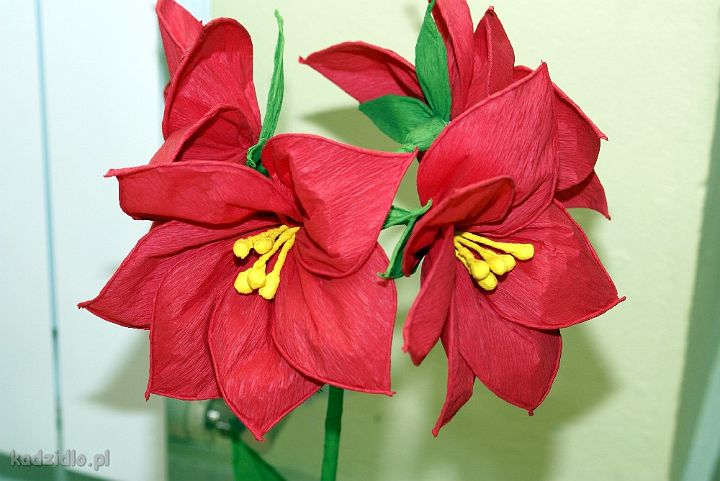 dsc07222.jpg