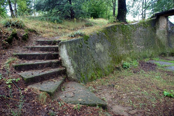 dsc07408.jpg