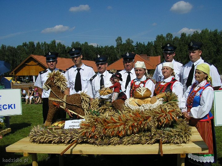 p8228766.jpg