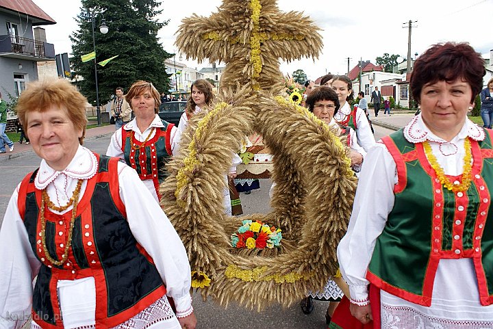 dsc08780.jpg - Golanka