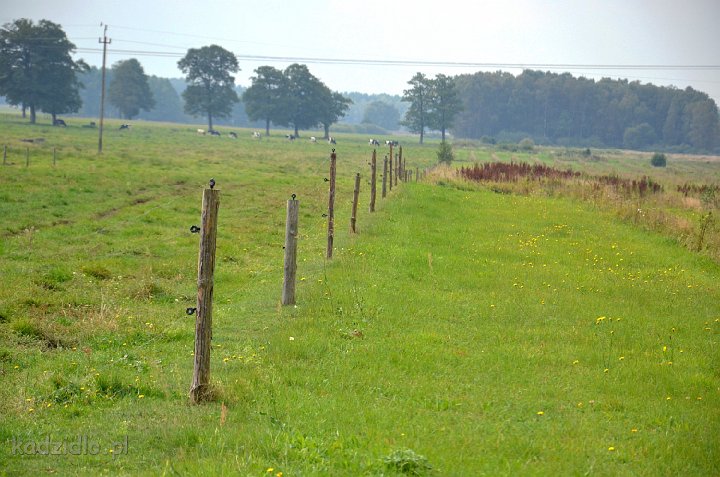 dsc_1079.jpg