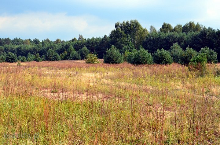 dsc_1154.jpg