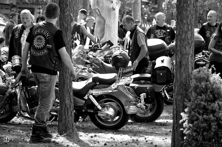dsc_3765.jpg