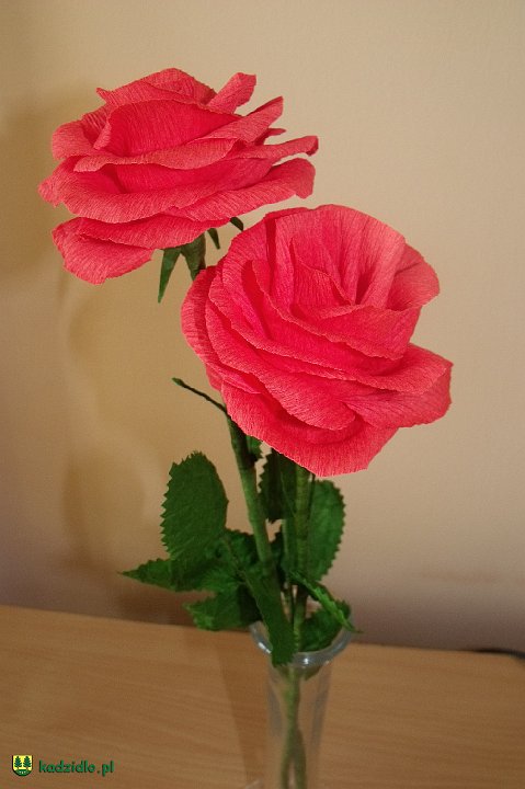 dscf4571.jpg