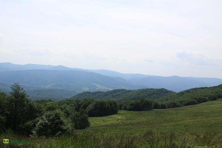 image00039.jpg