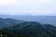 image00016