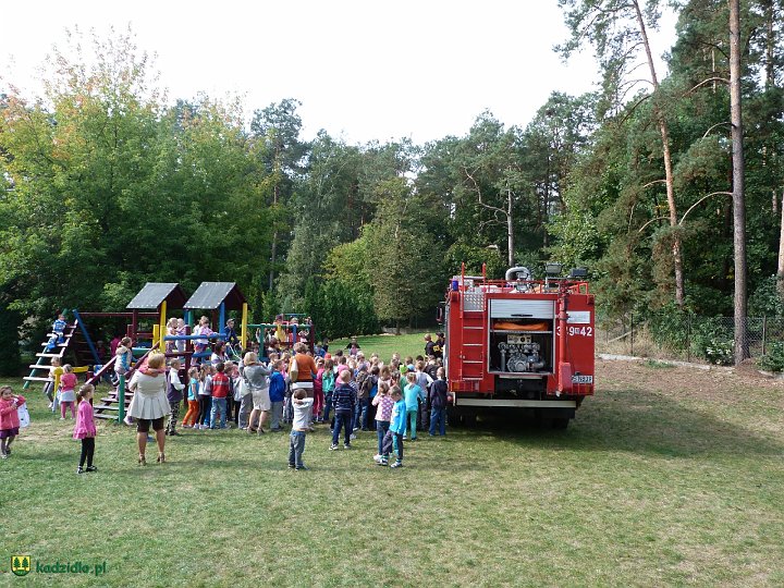 p1050445.jpg