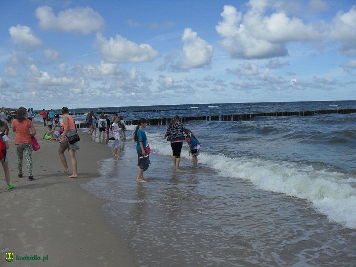 sdc14268.jpg