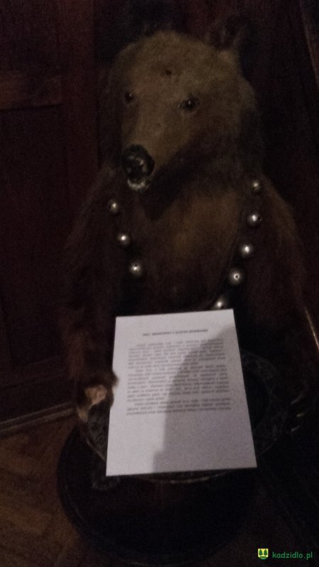 20151128_151539.jpg
