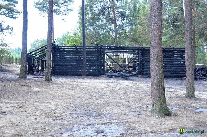 dsc_5398.jpg