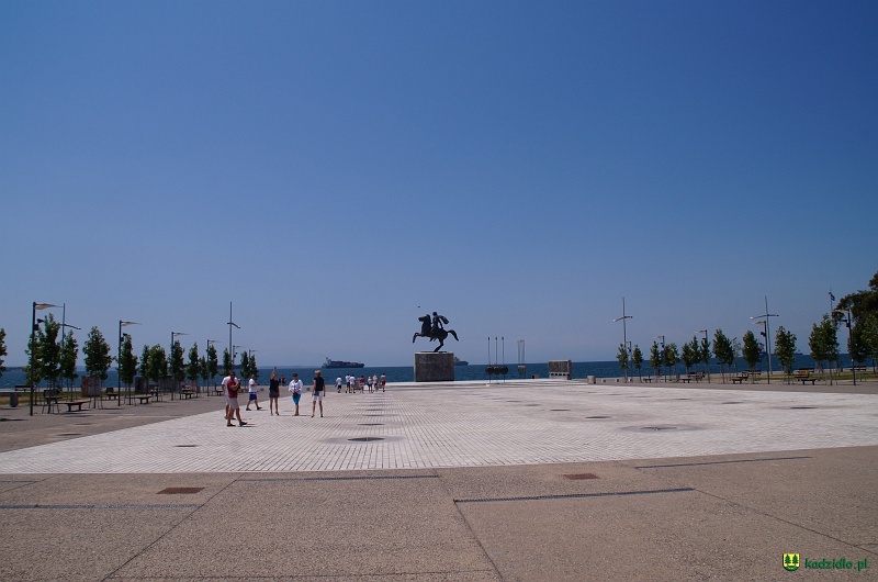 dsc00989.jpg