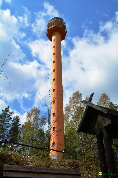 dsc_0030.jpg