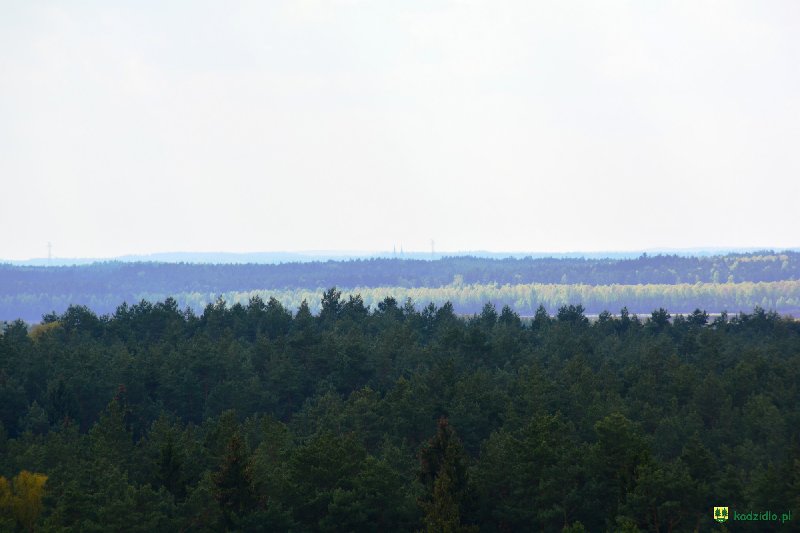 dsc_0056.jpg