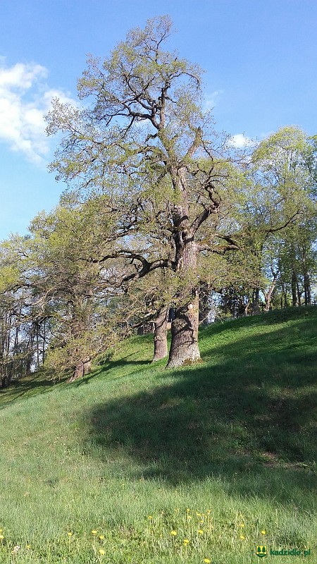 20160508_090534.jpg