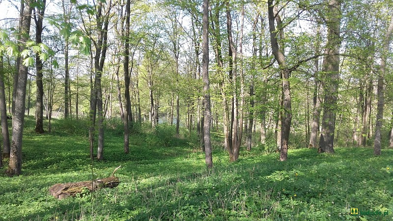 20160508_094939.jpg