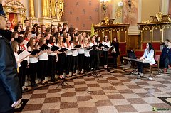image_0033