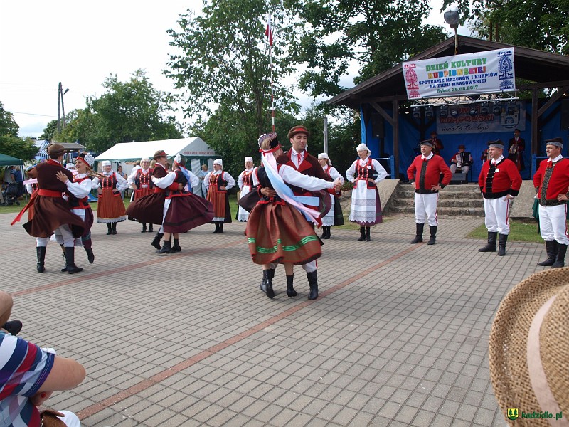 p8264451.jpg