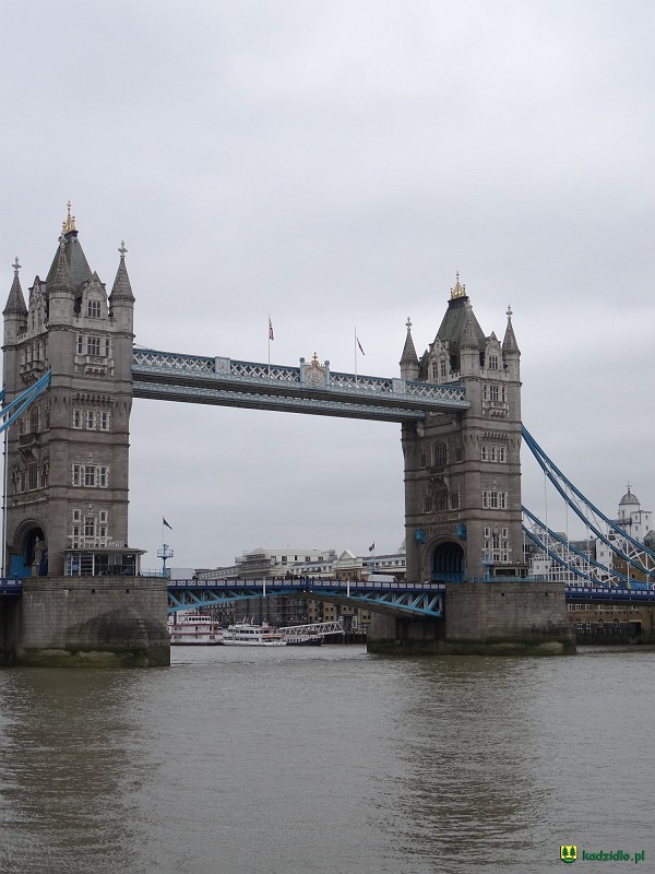 dsc01442.jpg
