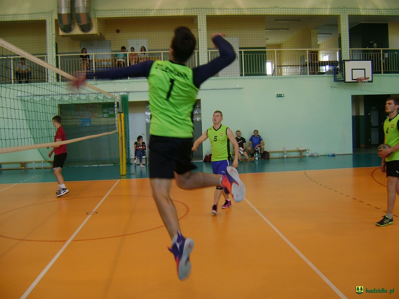 dsc02686.jpg