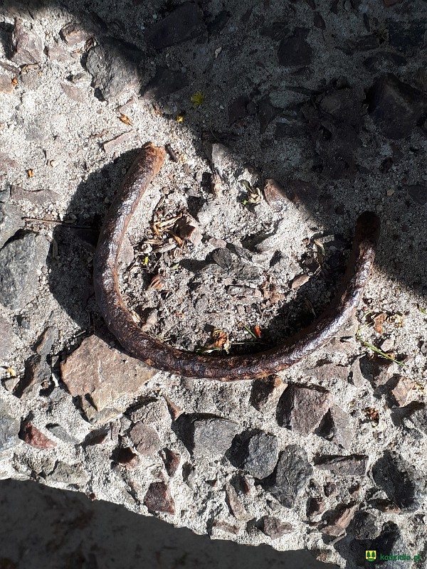 20180429_092413.jpg