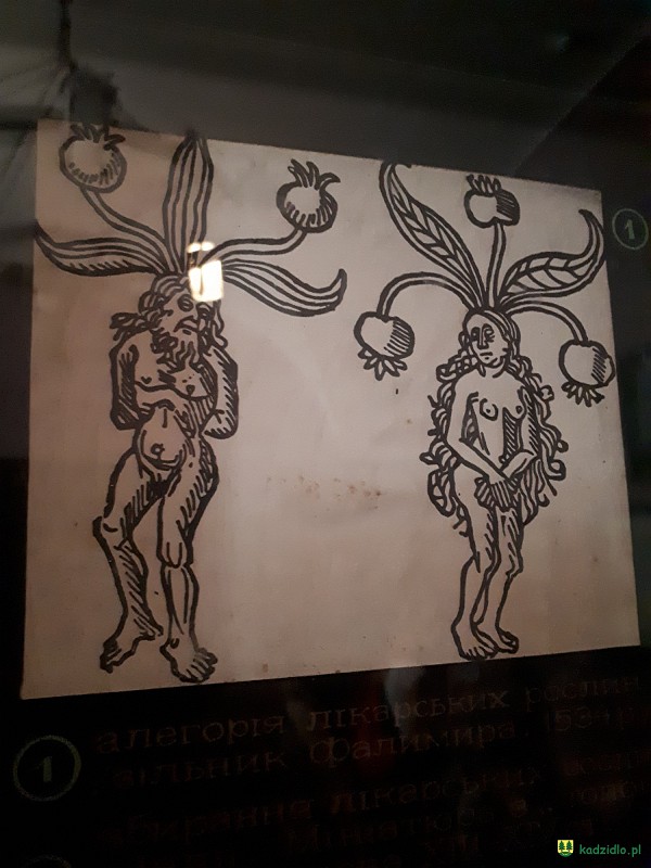 20180430_165341.jpg