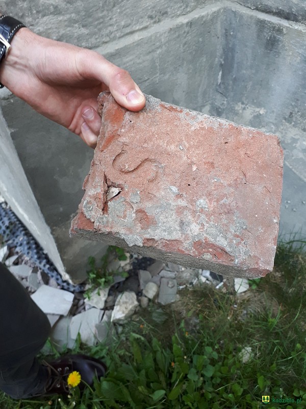 20180501_114058.jpg