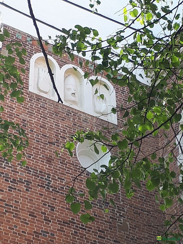 20180501_150927.jpg