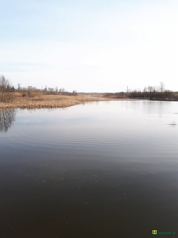 20190330_161511.jpg