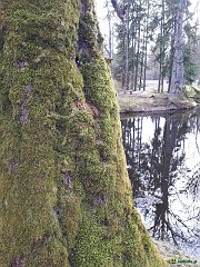 20190329_150713