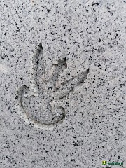 71470761_1717955131670278_6758340308242530304_n