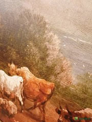 72084822_1716991548433303_3098128415056723968_n